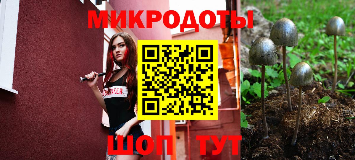 Псилоцибиновые грибы Psilocybine cubensis  Галлюциногенные грибы мицелий  Вход с VPN  закладка  Лыткарино 