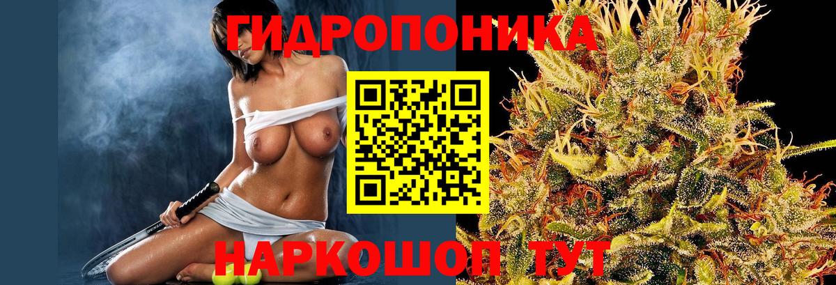 Канабис ГИДРОПОН Лыткарино